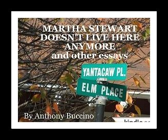 Martha Stewart Doesn't Live Here Anymore and other essays by Anthony Buccino
