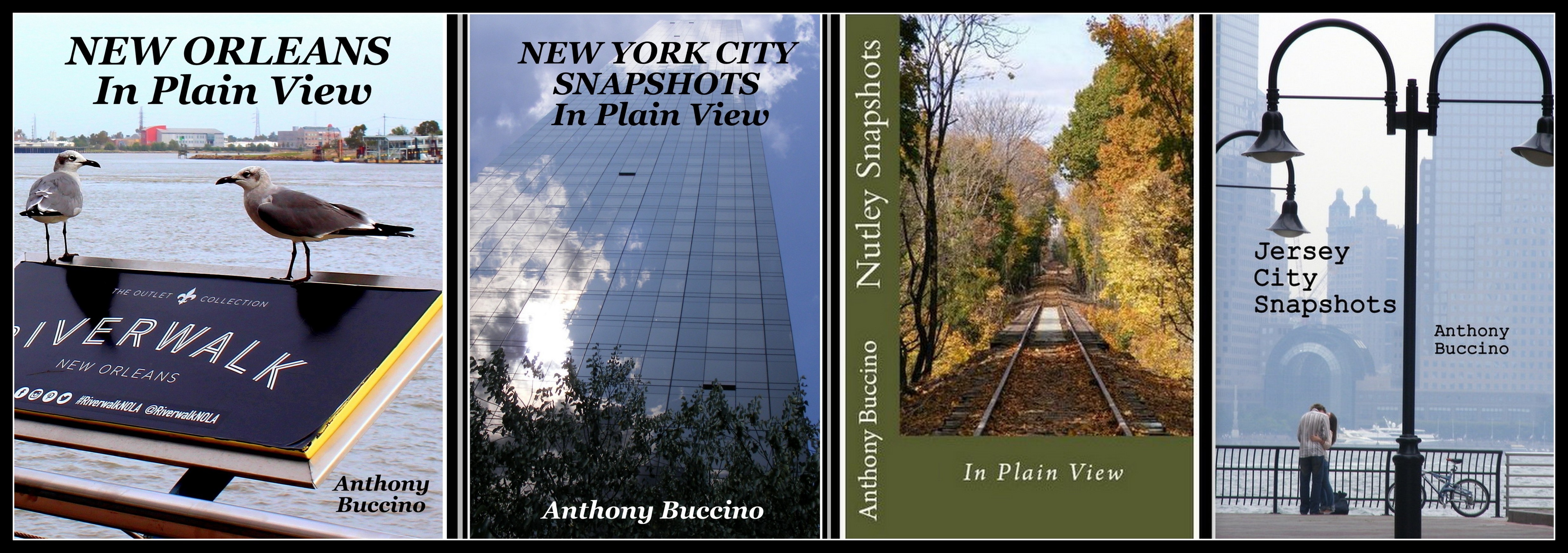 Photo collecctions, NOLA in Plain View, NYC In Plain View, JC Snapshots, Nutley Snapshots, photo books by Anthony Buccino