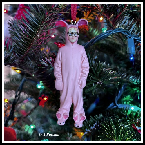 A Christmas Story, his aunt thought he was a little girl! Ralphie! 
