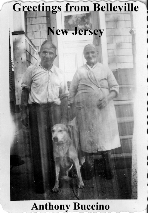 Greetings-from-Belleville-NJ-Collected writings by Anthony Buccino