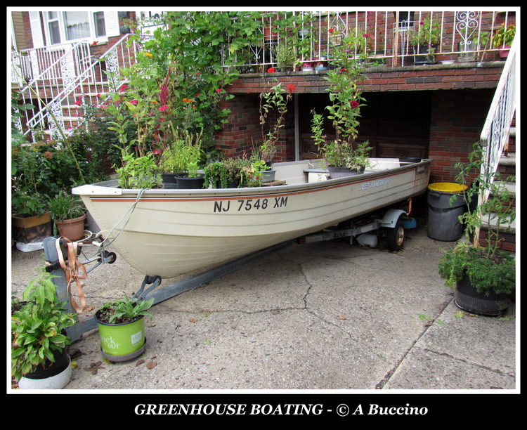 GREENHOUSE BOATING, Harrison, NJ street photography. photo by Anthony Buccino