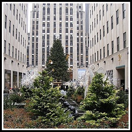 Rockefeller Center Christmas Tree, November 2009, Street photography