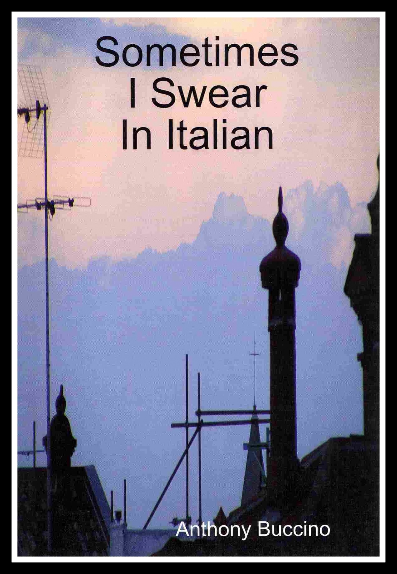 Sometimes I Swear in Italian by Anthony Buccino
