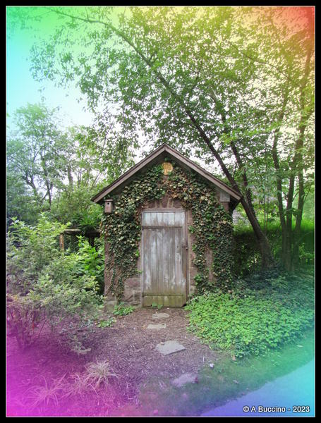 Ivy-covered Shed, Willowwood Arboretum, ©ABuccino 2023