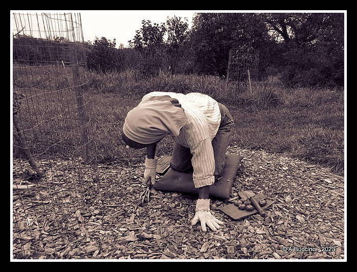 Down to Earth, Seward Johnson, Willowwood Arboretum, ABuccino