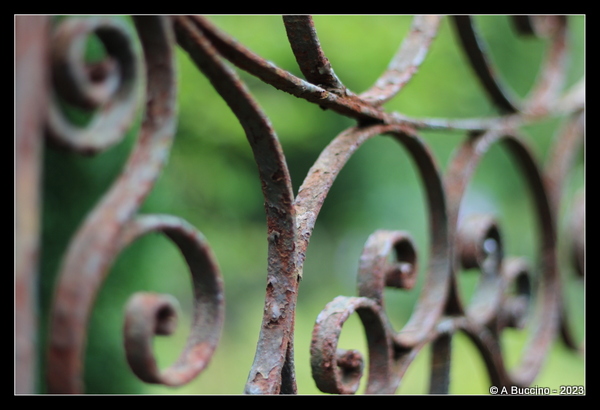 rusty old garden fence, Willowwood Arboretum, ©ABuccino 