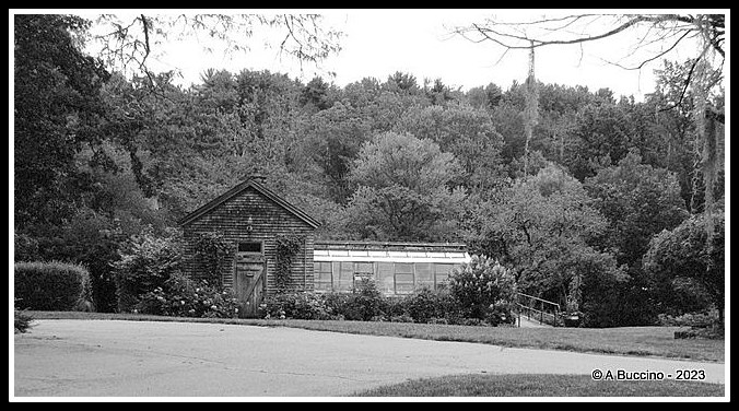 Greenhouse, Willowwood Arboretum, ABuccino