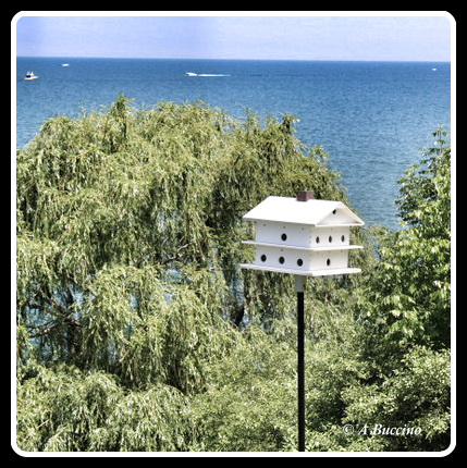 bird sanctuary and lookout, Lake Erie, Willoughby Ohio, © A Buccino 