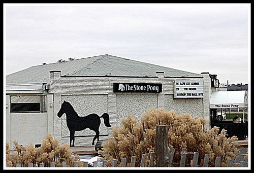 The Stone Pony, Asbury Park NJ, December 2022 © A Buccino