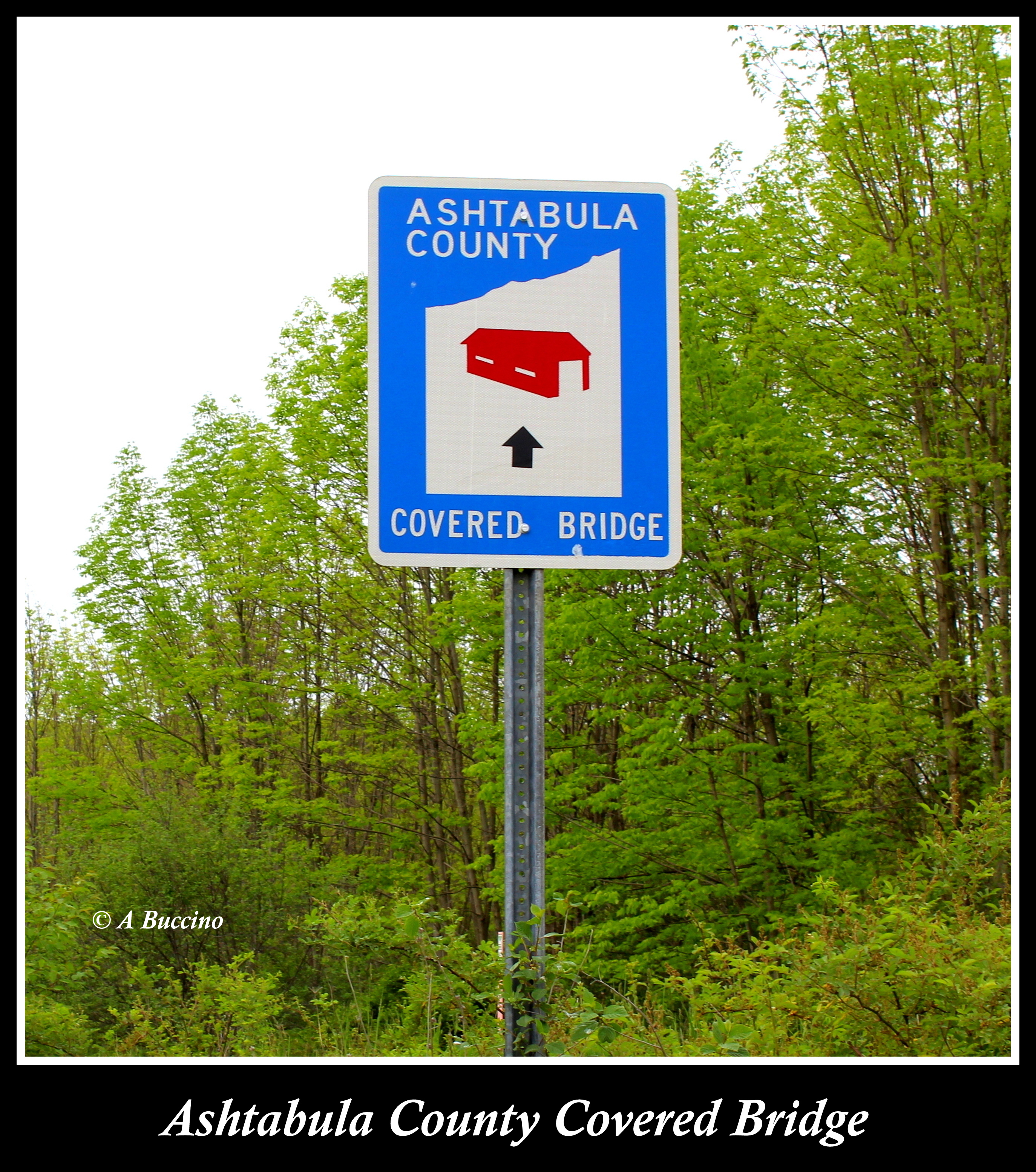 Covered Bridges of Ashtabula County, 2016  A Buccino