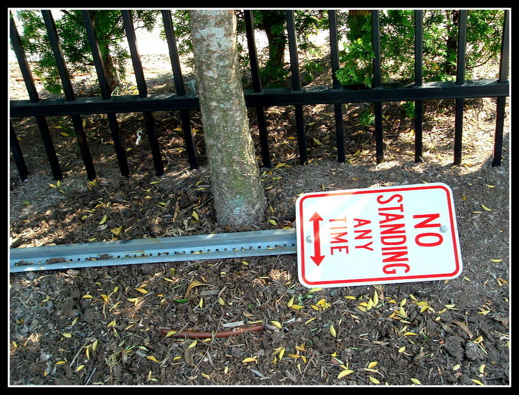 NO STANDING ANY TIME by Anthony Buccino,, Jersey City, Street photography, traffic sign,