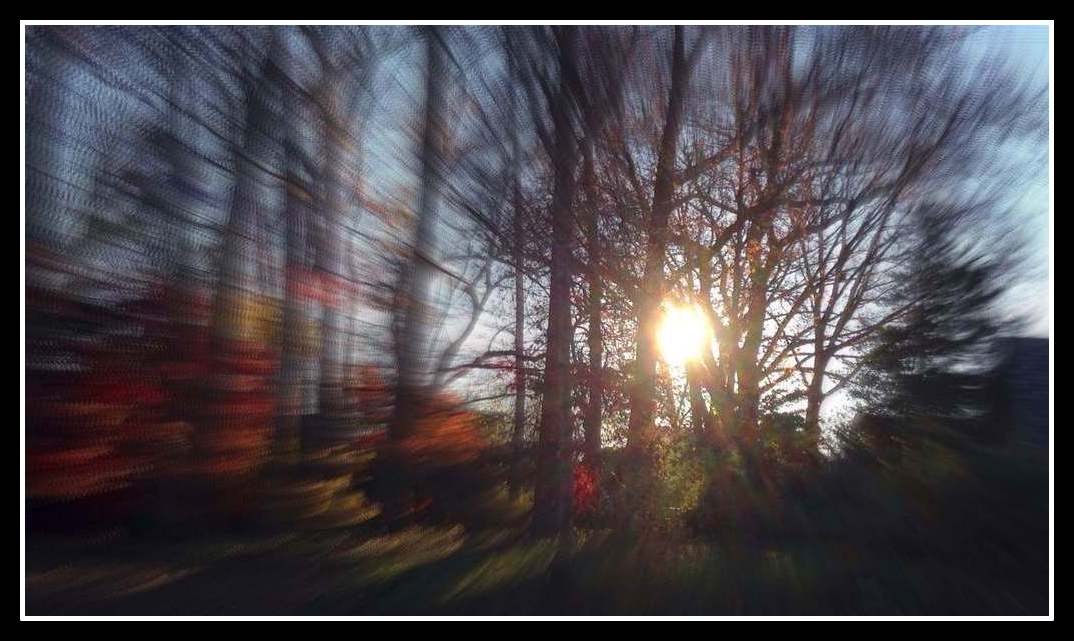 SPRING GARDEN MORNING by Anthony Buccino, Nutley NJ, sunrise