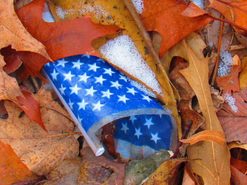 SNOW FLAG by Anthony Buccino, Kingsland Park, snow, ice, US Flag, autumn leaves