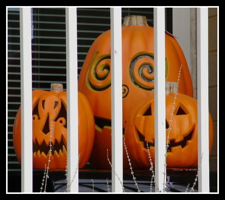 PUMPKINS by Anthony Buccino, Jersey City, Hudson River, pumpkins, Halloween, prison