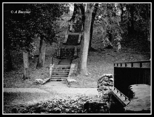 BIG STAIRS, BOOTH PARK, Nutley NJ, Essex Photo Club, awards, Honorable Mention Pictorial, © A Buccino, Anthonybuccino.com