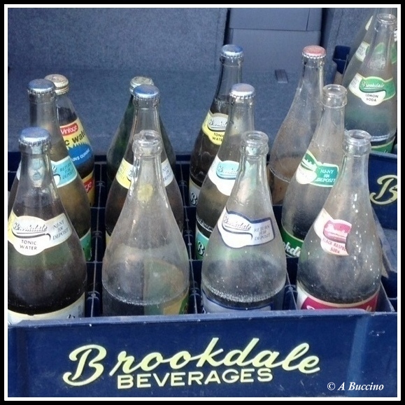 Brookdale Beverages, 2023 © A Buccino, Pride of the Garden State
