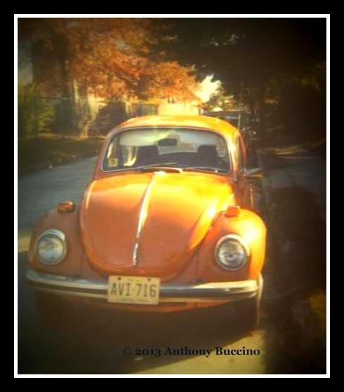 VW Beetle, 1973, bought used, Anthony Buccino
