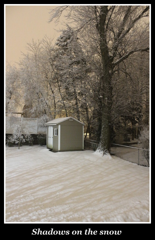 Shadows on the snow - Anthony Buccino