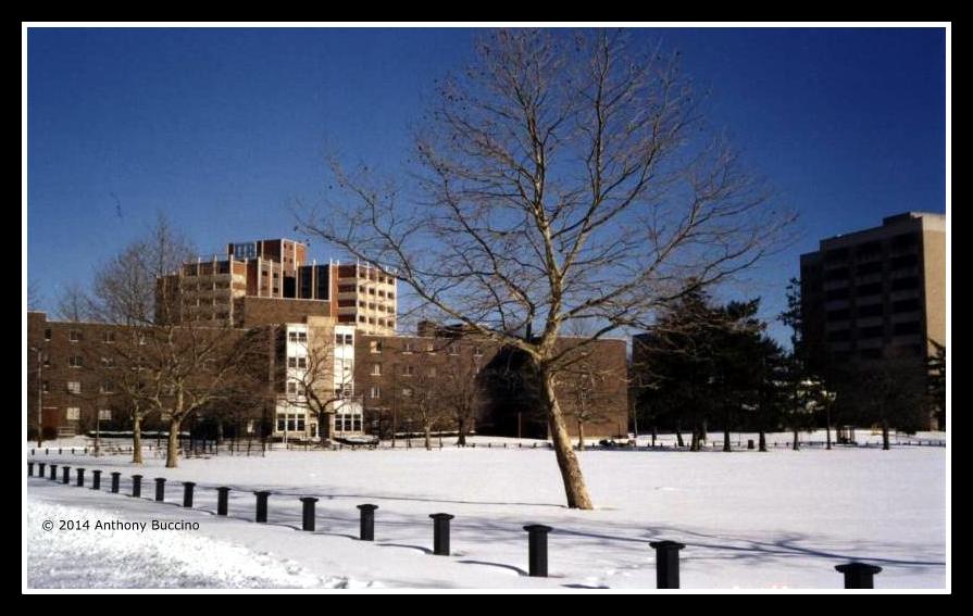 University of Bridgeport  2002 Anthony Buccino