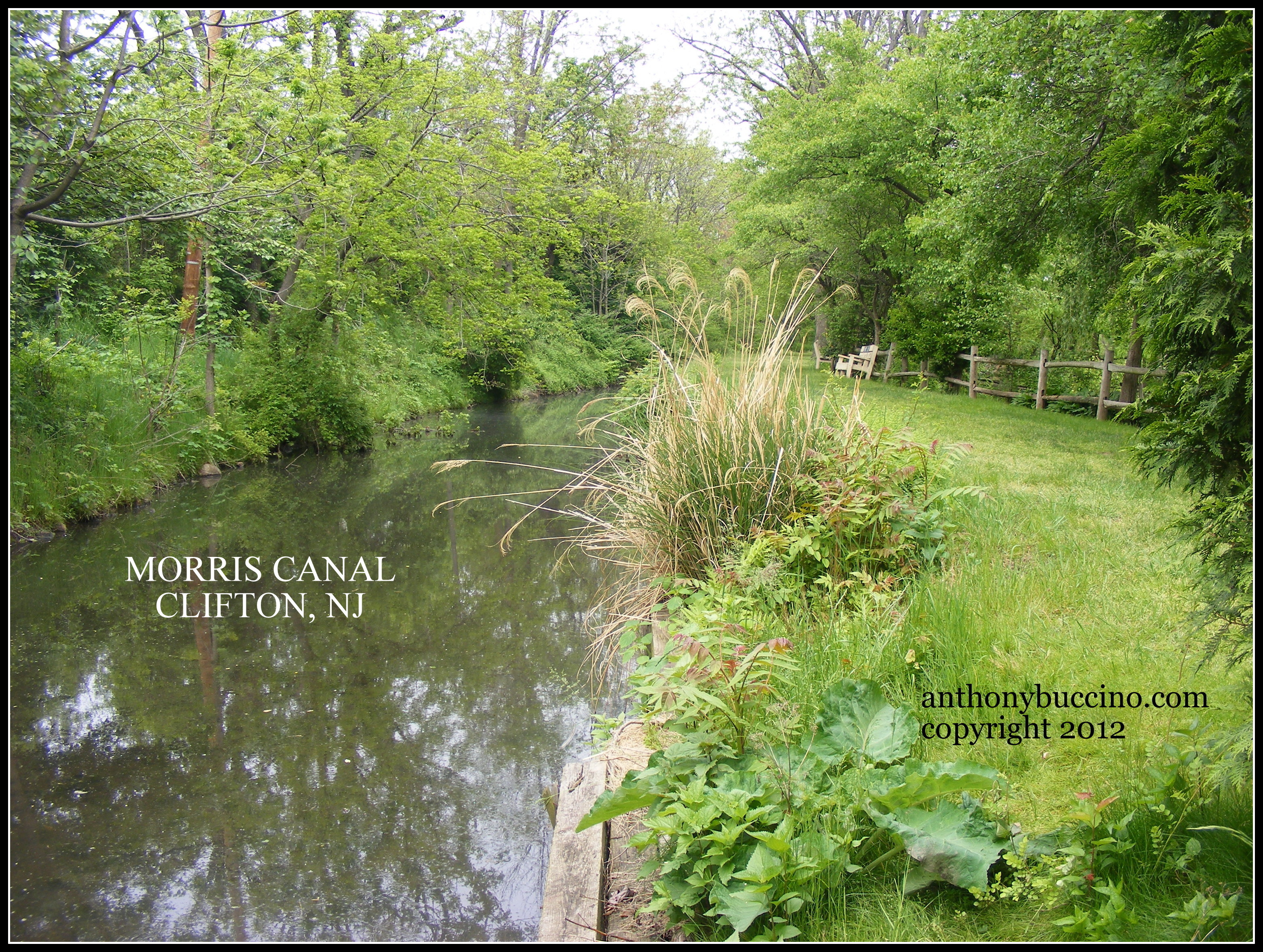 Ten Local Trips to Take Before I Retire