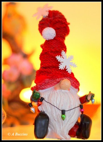 Gnome asking where these lights go on the Christmas Tree
