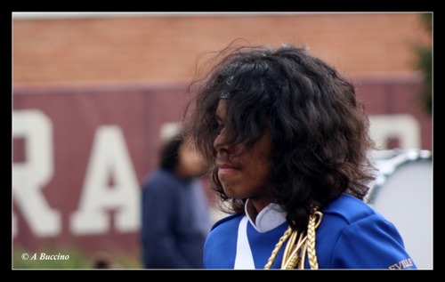 Bellevlle High School Marching Band, Belleville NJ