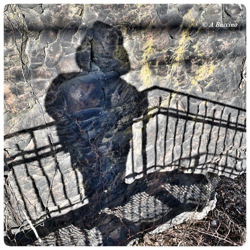 Eerie Shadow on the Passaic River, Art in Ice, Paterson Great Falls,  A Buccino