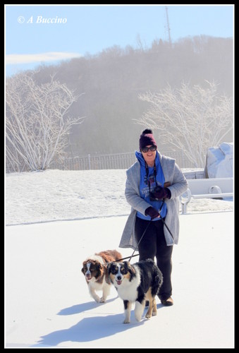 MUSH! MUSH! Art in Ice, Paterson Great Falls,  A Buccino