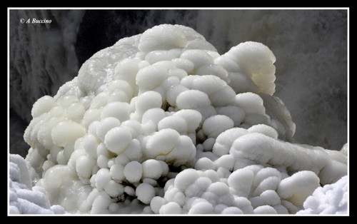 Frozen shrubbery, Art in Ice, Paterson Great Falls,  A Buccino