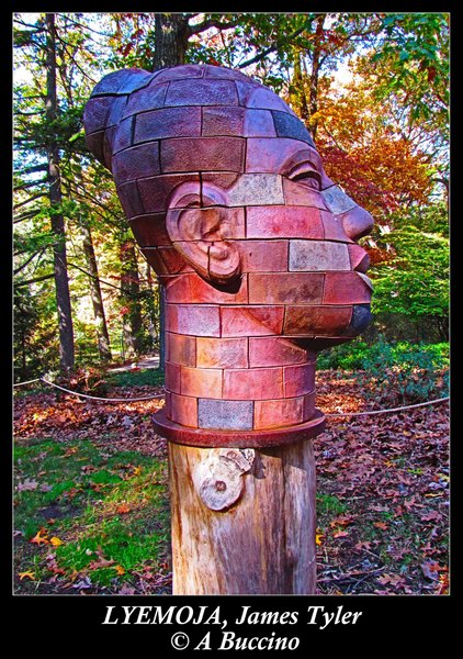 Laurelwood Arboretum, Wayne NJ, Nov 2021, A Buccino