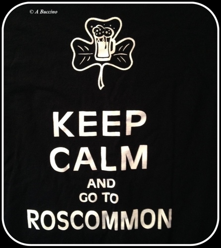 Keep Calm and go to Roscommon, Michaels Roscommon House, photos  2023 A Buccino