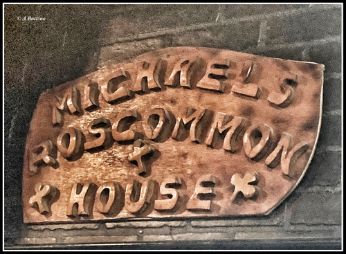 Michaels Roscommon House, photos  2023 A Buccino