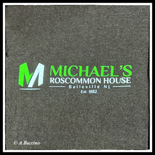 Michaels Roscommon House, Belleville NJ, photos  2023 A Buccino