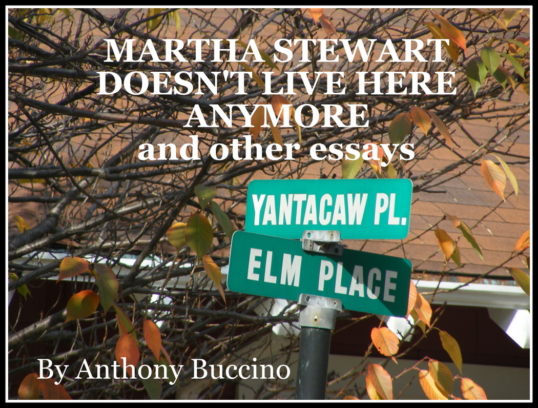 MARTHA STEWART DOESN'T LIVE HERE ANYMORE and other essays by Anthony Buccino