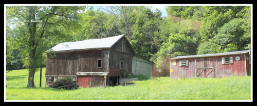 Old Barns, NJ Roadtrip, Barns, Sussex County, July 2023,  A Buccino