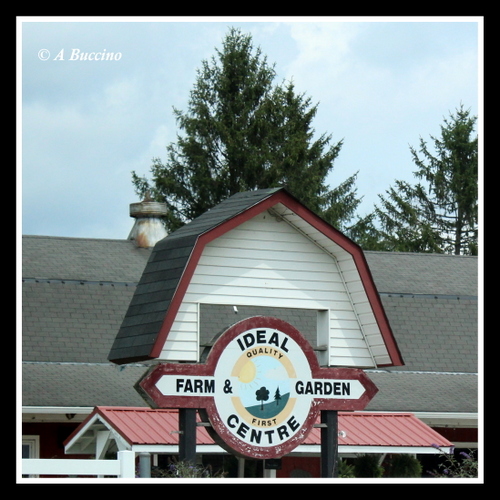 Ideal Farm & Garden Centre, NJ Roadtrip, Barns, Sussex County, July 2023, © A Buccino
