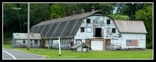 NJ Roadtrip, Barns, Sussex County, July 2023,  A Buccino