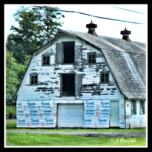 NJ Roadtrip, Barns, Sussex County, July 2023,  A Buccino