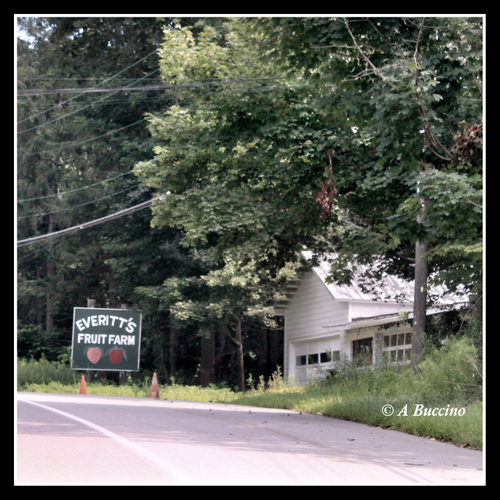 Everitt's Fruit Stand, NJ Roadtrip, Barns, Sussex County, July 2023, © A Buccino