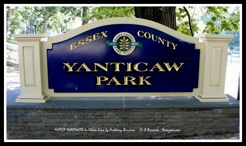 Yanticaw Park, Nutley, NJ by Anthony Buccino