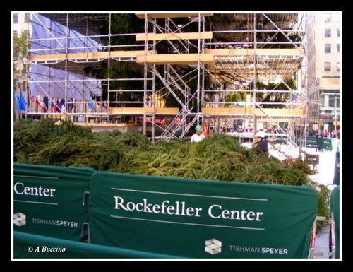 Rockefeller Center, Christmas tree leftover branches