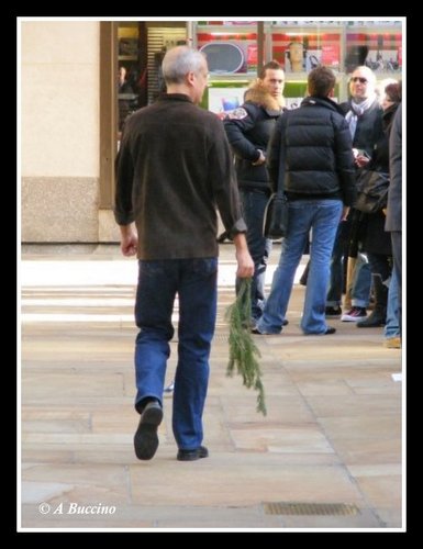 Old man stealing a piece of Rockefeller Center Christmas tree, November 