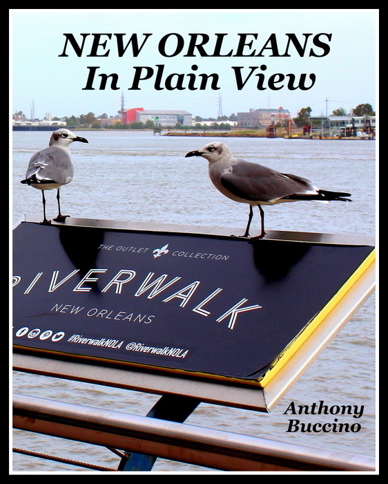 New Orleans In Plain View  by Anthony Buccino