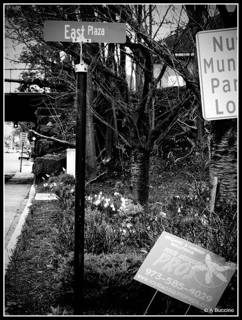 East Plaza, terrain, north side looking south, Erie railroad trestle built circa 1896, Nutley NJ