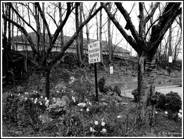 Terrain, Norfolk Southern/Erie Railroad trestle Nutley NJ, photos by  A Buccino