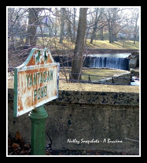 Yantacaw Pond - Clifton, NJ view - by Anthony Buccino