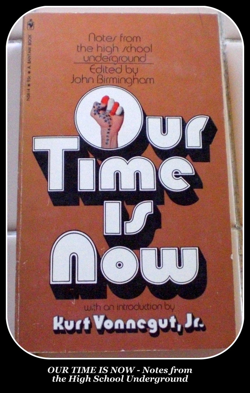 OUR TIME IS NOW - Notes from the High School Underground Paperback  Amazon pic