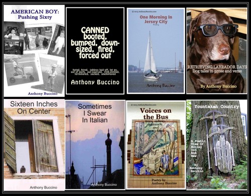 Eight Poetry Collections by Anthony Buccino