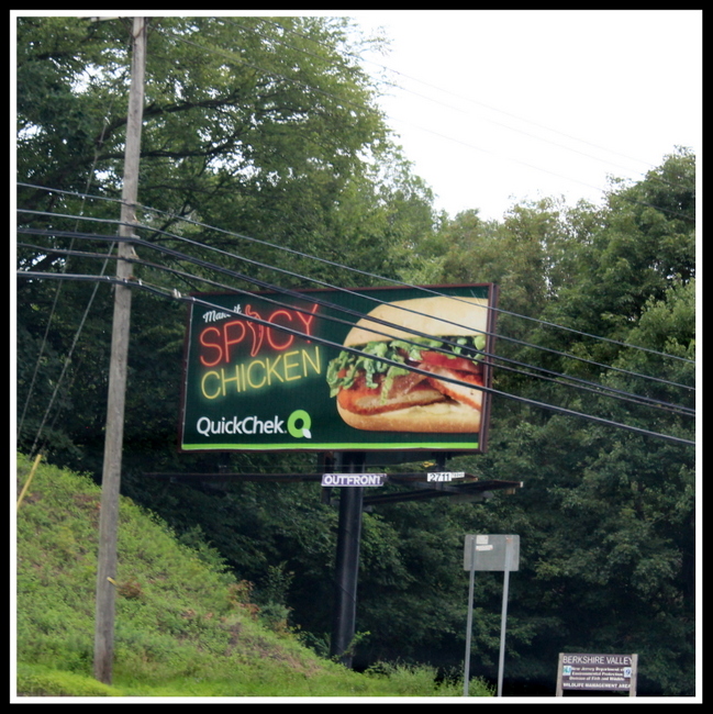 Route 15 Billboard, Northwest NJ Road Signs, © Anthony Buccino 