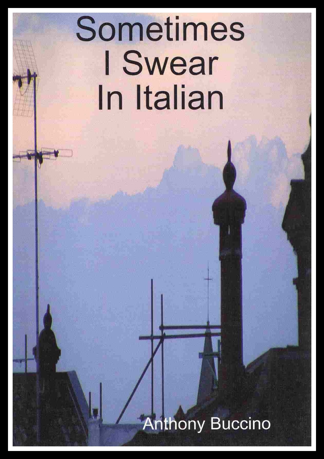 Sometimes I Swear In Italian by Anthony Buccino 